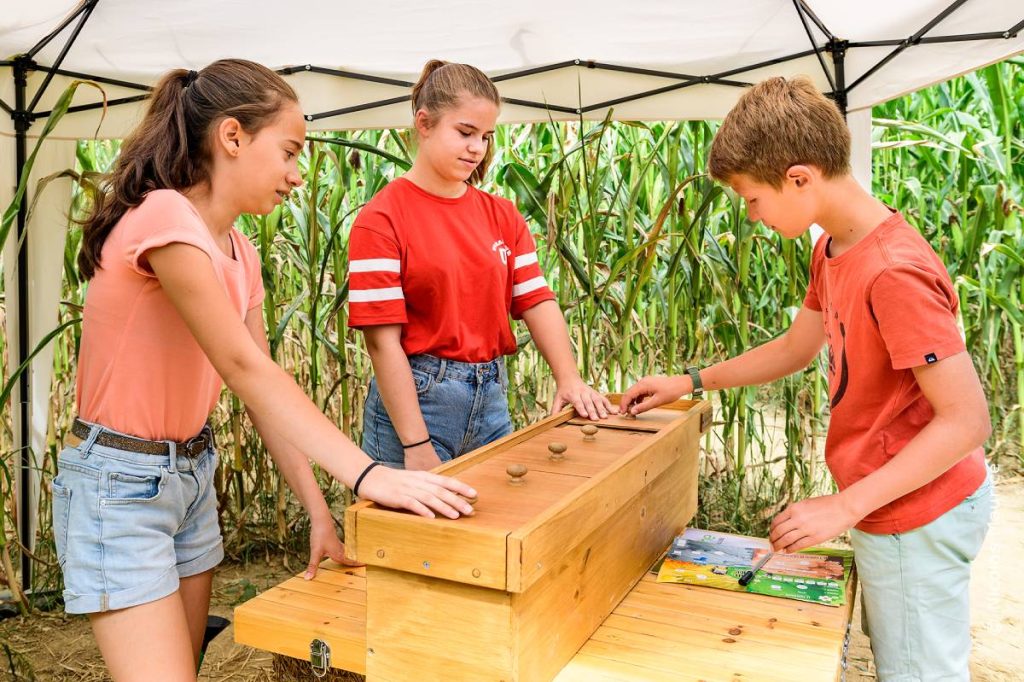 Amusez-vous avec les nombreux jeux du labyrinthe en Vendée Vallée !