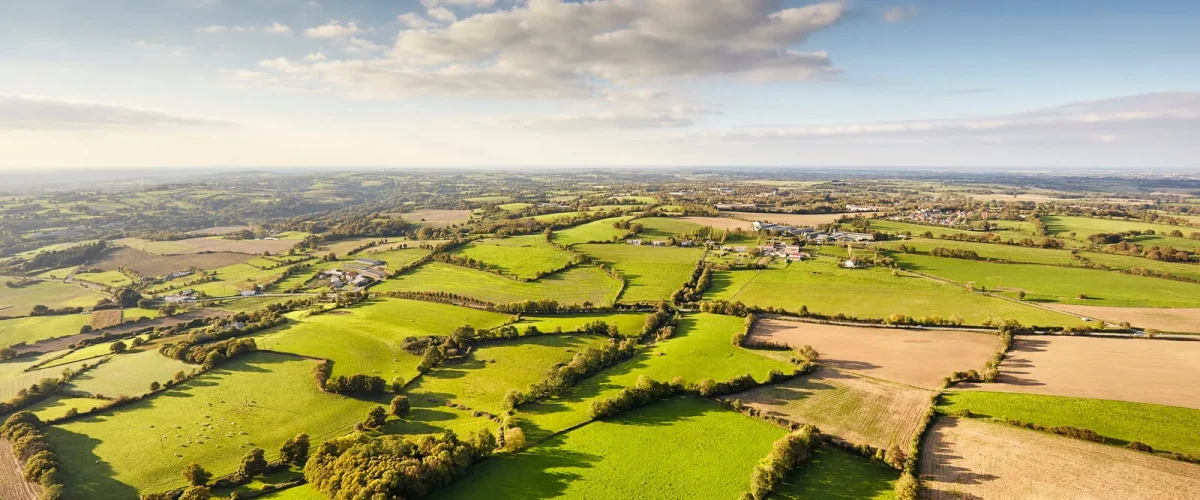 Le bocage vendéen : ses haies bocagères, ses chemins creux et son paysage vallonné au nord de la Vendée.